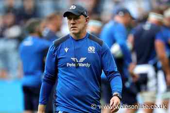 Wales head coach twist as Steve Tandy ruled out after new WRU chief's arrival