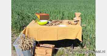 Vijfde editie van de Food Challenge brengt scholieren naar de boerderij