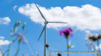 Klimaschutz: Langfristiger Wohlstand durch verstärkten Klimaschutz