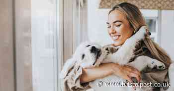 Woman with six dogs shares 10 'life-savers' she believes every owner needs