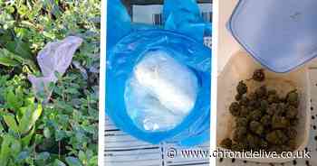 Cocaine thrown 'into the air like confetti' as police raid halts suspected South Tyneside drug deal