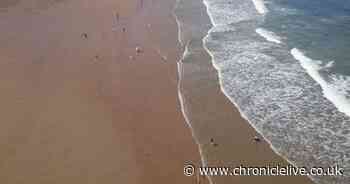 Golden beach 20 minutes from Newcastle with 'best seafood in UK' gets royal seal of approval