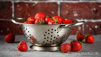 Erdbeeren vor dem Verzehr zuerst in Salzwasser waschen – machen oder sein lassen?