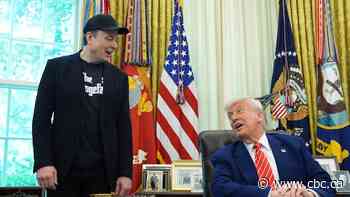 Musk says he regrets some X posts he made about Trump