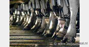 "Gunstig eerste halfjaar voor melkveehouders, onzekerheid volgt"