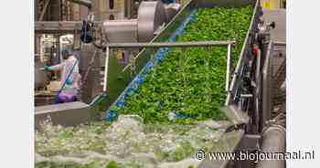 “Eenvoudige maaltijdsalades voorzien in een behoefte”