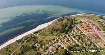 7 Ferienhäuser an der Ostsee für Urlaub direkt am Meer