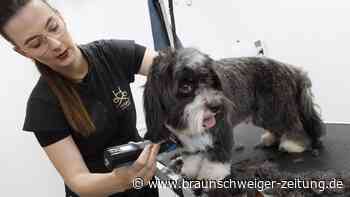Für Vierbeiner: Neuer Hundesalon eröffnet in Braunschweig