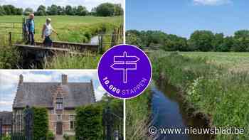 Langs parken, forten en een verborgen natuurgebied: 10.000 warm aanbevolen stappen langs de Koude Beek