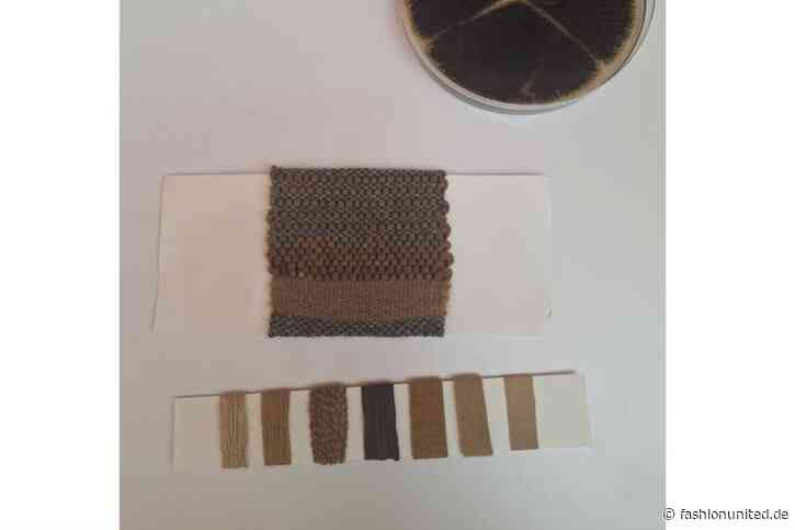 Von erdölbasiert auf biobasiert: TU Berlin forscht zu pilzbasierten Textilfarbstoffen