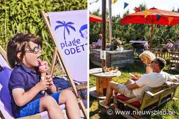 OVERZICHT. Genieten aan het water of smullen in een pastorietuin: in deze Limburgse zomerbars kan je terecht