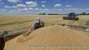 Brüsseler Kompromiss: EU führt Handelsquoten für Ukraine wieder ein – Litauen hofft auf Preisstabilisierung