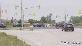 Endangered snakes delay Banwell Road, E.C. Row Expressway overpass projects