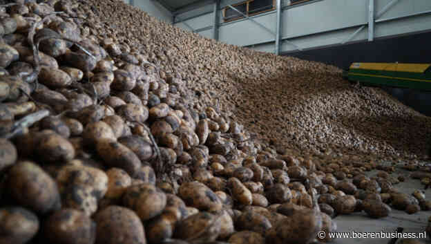 Overschot van 100.000 ton aardappelen dreigt