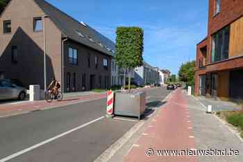 Nobelberg verfraaid met vijf boombakken: “Dankzij ingenieus systeem hebben ze maar om de twee weken water nodig”