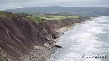 A satirical article said Cape Breton has its own time zone. Google and Meta AI repeated it as fact