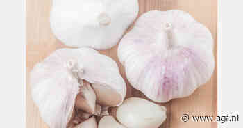 Druk China remt afzet nieuwe Spaanse knoflook