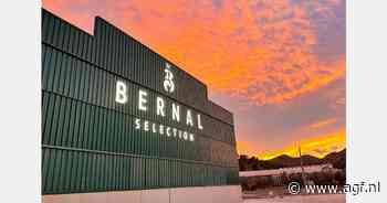 Hoge prijzen Spaanse vroege uien ondanks import Turkije en Egypte