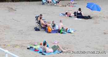 'Overwhelming support' to vaping and smoking ban on East Yorkshire beaches