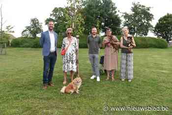 N-VA pleit voor hondenweide op ongebruikt stuk gedempte Dender