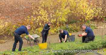 Nissan workforce dedicates more than 3,000 hours to volunteering