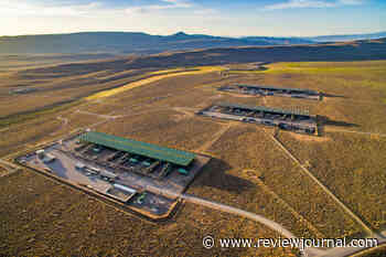 Why Trump’s ‘energy dominance’ executive order could be litigated in Nevada