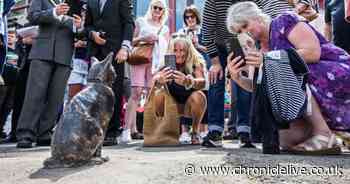 People travel from Whitley Bay to see unveiling of statue of celebrity Coastal Cat Hendrix