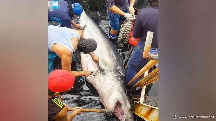 China sluit zich aan bij VN-verdrag tegen illegale visserij