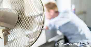 Hitze in der Wohnung: Wie wird man sie los?