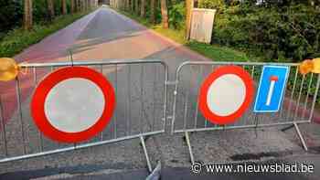 Hitte duwt wegdek Noorderlaan naar ophoog