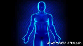 Hunderte Werbeanzeigen für Nacktfilter auf Meta-Plattformen entdeckt