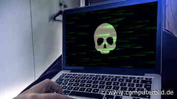 Raubkopierer in der Krise – nur Manga und Anime liegen bei Piraten im Trend