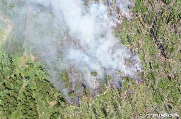 FW Kreis Soest: Waldbrand am Möhnesee - aktuell rund 300 Einsatzkräfte vor Ort