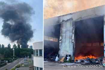 Hevige brand in leegstaande loods naast kanaal Brussel-Charleroi