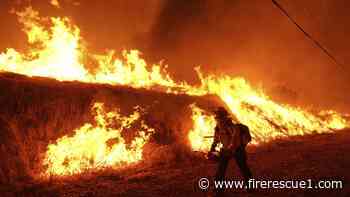 Trump orders consolidation of federal wildland firefighting under Interior Department