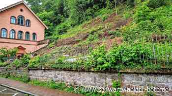 In der Badstraße in Calw: Haus mit sieben Wohnungen soll entstehen – aber geht’s auch kleiner?