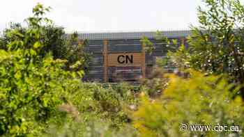 CN Rail warns of 'catastrophic impacts' as it seeks anti-flood barrier in Jasper park
