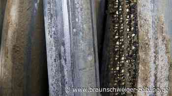 Bleibelastung im Harz: Kreis Göttingen plant Verzehrempfehlungen