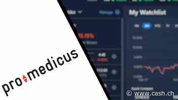 54'000-prozentiger Anstieg: Vom Penny Stock zum Milliarden-Unternehmen