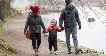 Gateshead childcare providers say they are in "crisis", says council report