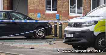 Counter-terror police assessed Alexander Dighton a year before attack and found 'no cause for concern'