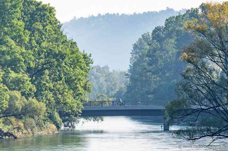 Kleine Streber wieder da: Seltene Fische in Isar ausgesetzt