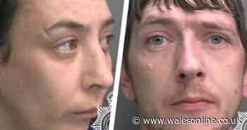 Toddler suffers 'truly breathtaking' injuries in savage dog attack