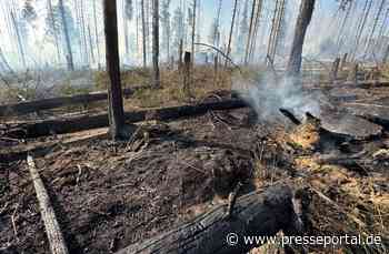 FW Kreis Soest: Erste Folgemeldung Waldbrand Möhnesee