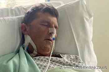 Dad placed into coma after staying at 'damp and musty' 4-star hotel on holiday