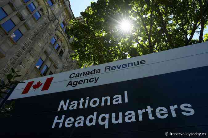 Public service shrinks by nearly 10,000, with tax, immigration hit the hardest