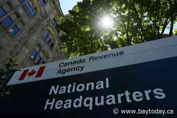 Public service shrinks by nearly 10,000, with tax, immigration hit the hardest