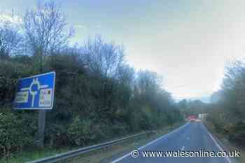 Fears new M4 service station could become 'destination in its own right'