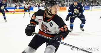 Medicine Hat Tigers’ Gavin McKenna becomes 3rd-youngest recipient of CHL player of the year award