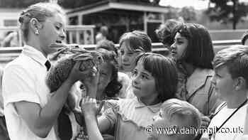 Inside the CIA's secret squad of adorable assassins dubbed 'Project 94'